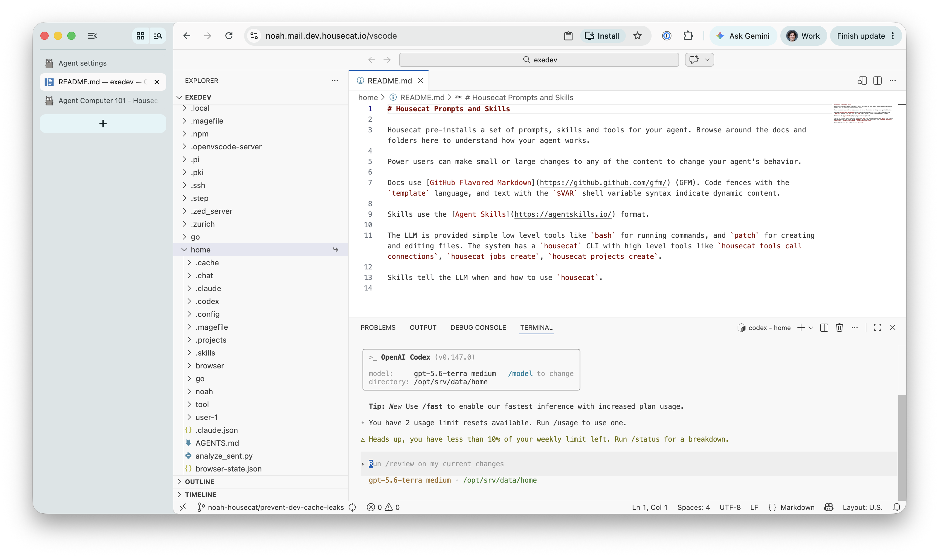 Agent Computer with OpenVSCode