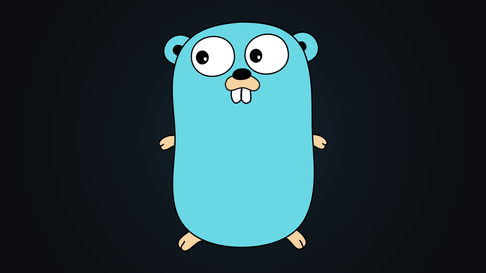 The GUS Stack — Go, Unix, SQLite